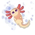Axolotl Community Polygon