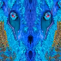 Rorschach Mirrors