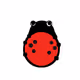 insect nft