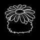FlowerGuys Special