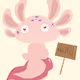 CuteAxolotl
