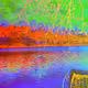 Lakeside shot