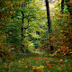 Nature, landscape and outdoors