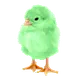 littlechicken
