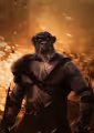 Warrior Apex