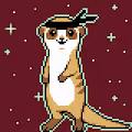 BandanaMeerkats