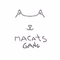 MACATS gang