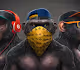 The Ape Gang.