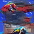 macaw exotic bird astract