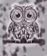 Weird Owls multiverse