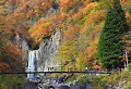 Fall0