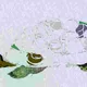 Peppina, the (almost) invisible Turtle
