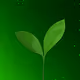 Sprout-