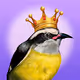 Los Pajaros Magos