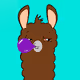 Academic Alpacas