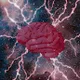 The Notorious BrainStorm