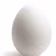 egg family V2