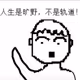 Everybody Is ZhangYouzhi