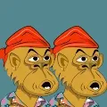 Bored Ape Twin Club