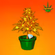 Sativa Farms