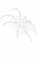the outline series