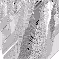 cellular automata 59