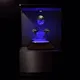 Crypto Cases