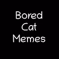 bored-cat-memes