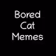 bored-cat-memes