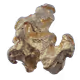 Czars Gold