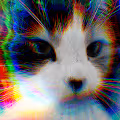 Rest In Peace Little Vlek
