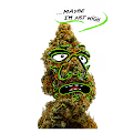 MAYBE_