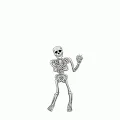 Skeleton DumDum