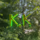 Krypto Kardz