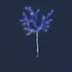Nature_crypto