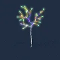 Nature_crypto