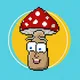 Mushroom Buddies