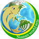 Noman world arts collection