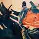 Astrofox's Story