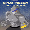Ninja Pigeon
