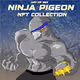 Ninja Pigeon