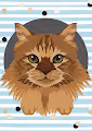 Cute Cats Collection CCC