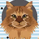Cute Cats Collection CCC