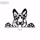 K9 Officer