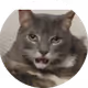 McWobbles