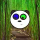 Random pandas