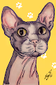 Sphynx | Mona Lisa's Cat