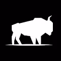 Project Bison