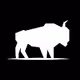 Project Bison