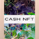 Financial Inclusion